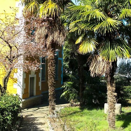 Apartman Cedra 伊佐拉 外观 照片