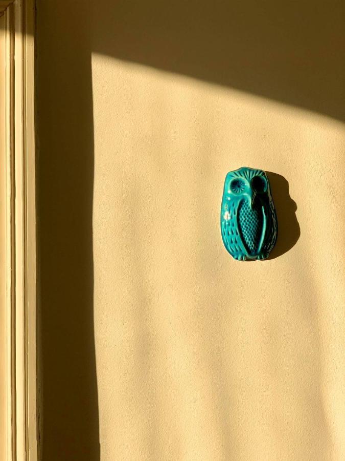 Apartman Cedra 伊佐拉 外观 照片