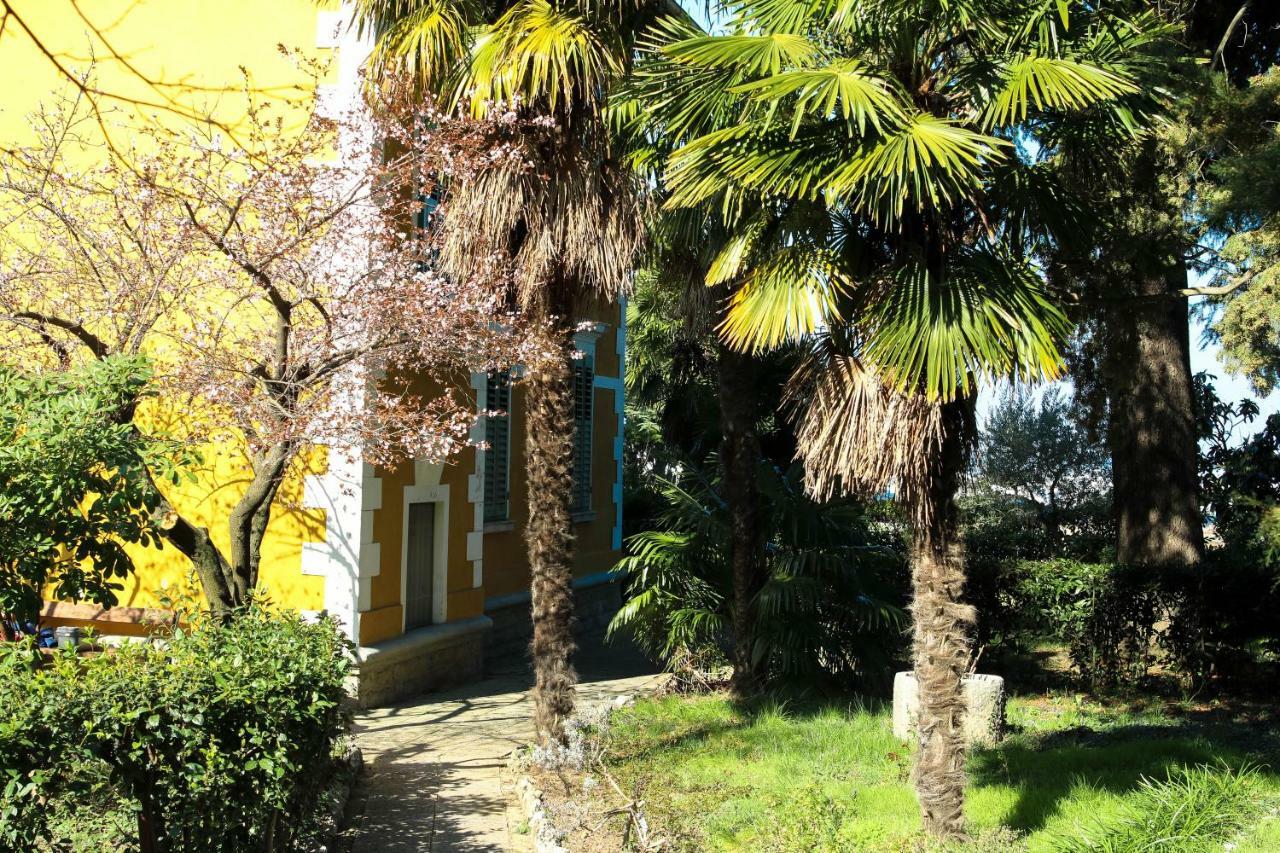 Apartman Cedra 伊佐拉 外观 照片